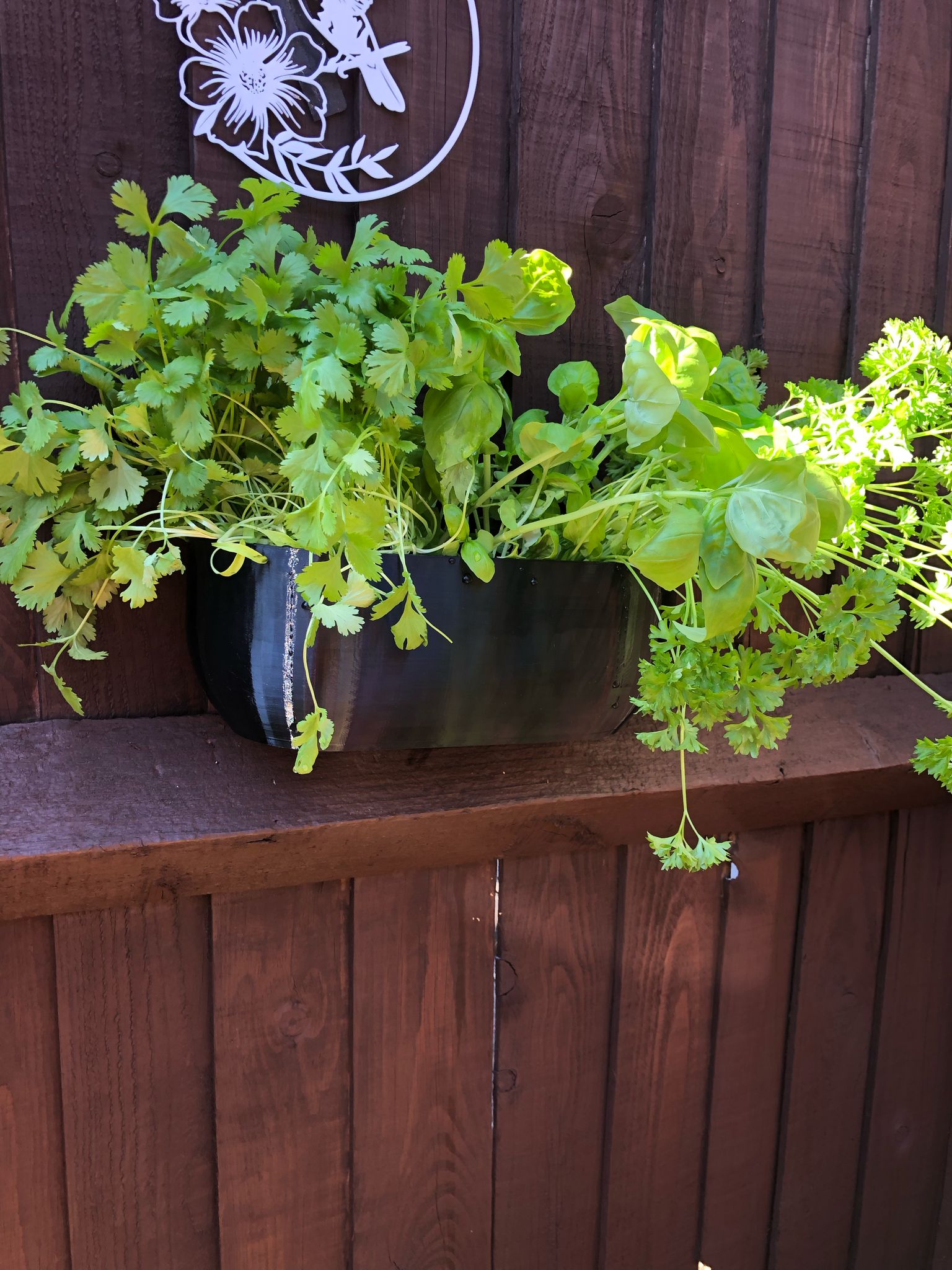 Modern rectangular wall planter with rounded corners, mounted on a wall and planted with fresh herbs like parsley, coriander, and basil. The large 3D printed planter is shown in use indoors, highlighting its sleek design and easy wall-mount installation with screws or tape