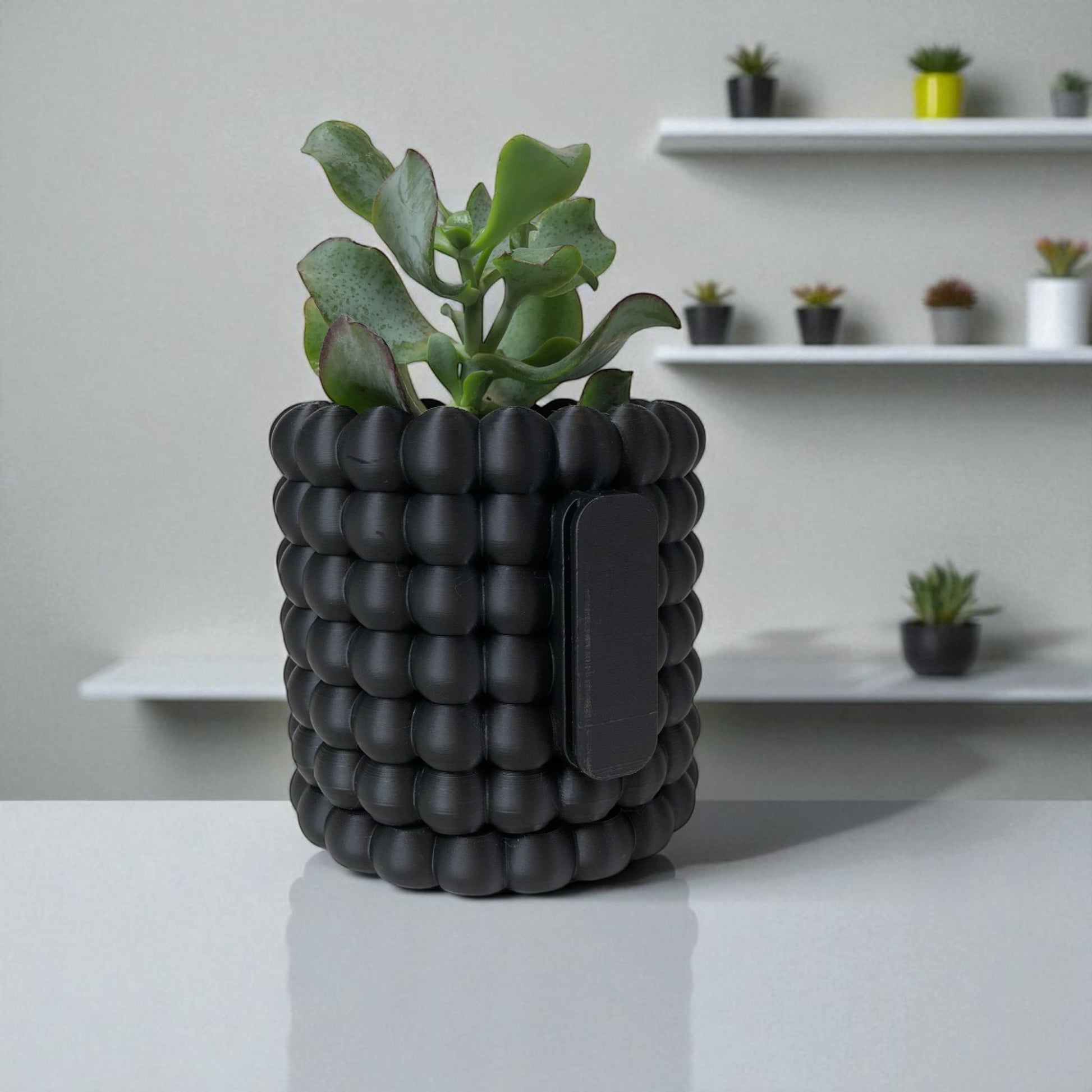Modern black wall-mounted planter with a bubble texture design, holding a green succulent plant. Includes mounting bracket for screws or adhesive and a built-in water tray.