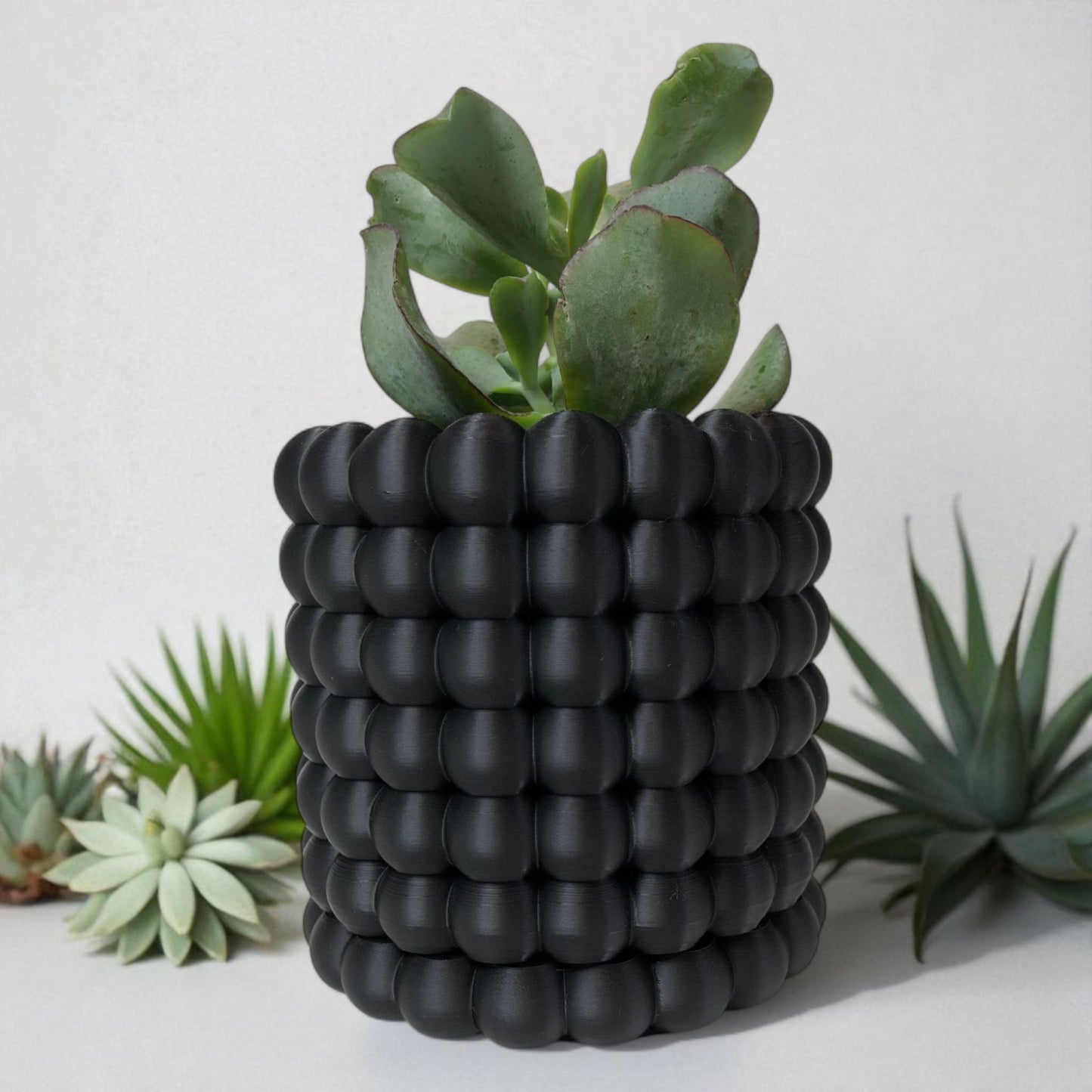 modern black wall-mounted planter with a bubble texture design, holding a green succulent plant. includes mounting bracket for screws or adhesive and a built-in water tray.