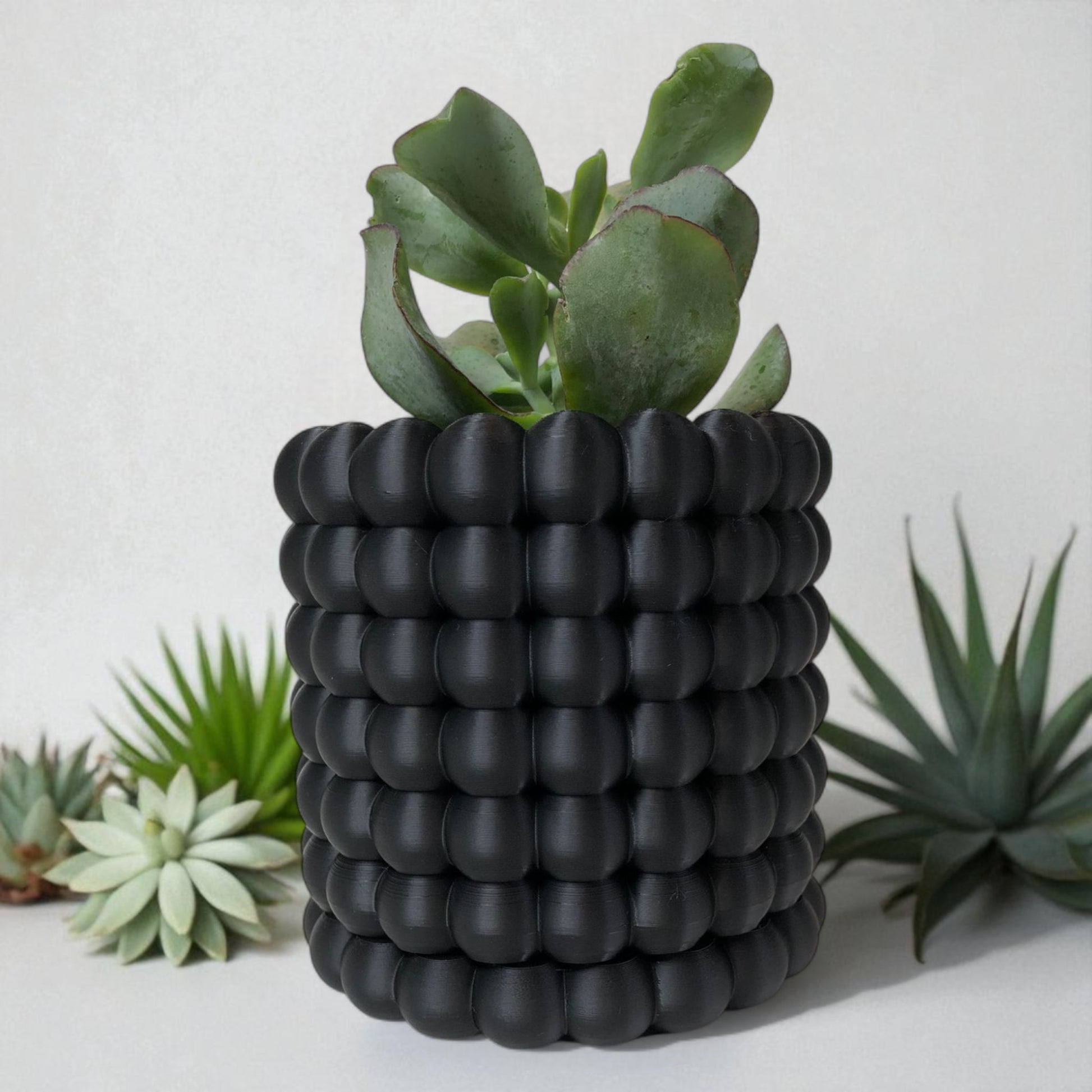 Modern black wall-mounted planter with a bubble texture design, holding a green succulent plant. Includes mounting bracket for screws or adhesive and a built-in water tray.