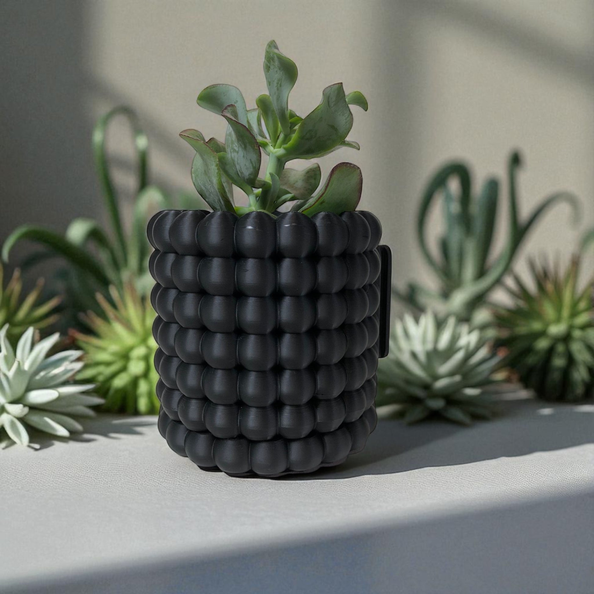 Modern black wall-mounted planter with a bubble texture design, holding a green succulent plant. Includes mounting bracket for screws or adhesive and a built-in water tray.