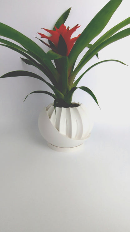 Secret Bloom Planter with Hidden Storage Box 3D Printed Plant Pot Modern Home