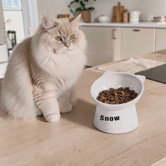 Personalised elevated cat bowl with custom pet name in modern neutral home setting
Raised cat feeding bowl with cat ear design and customisable pet name
Minimalist elevated pet bowl designed to support better cat eating posture