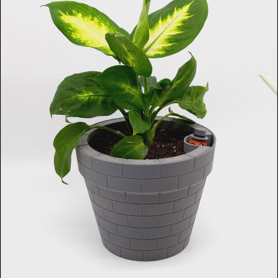 A clever and charming Worm Rise Planter featuring a worm-shaped water indicator that rises to signal when the plant has enough water. Perfect for plant lovers who value functionality and fun design