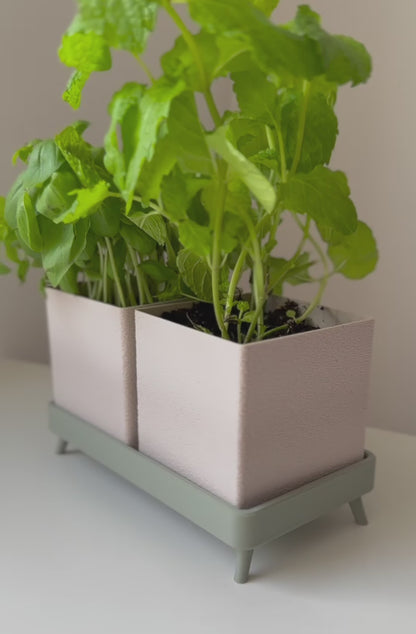 Herb Haven Planter Stylish Self-Draining Herb Planter with Footed Tray & Twin Option for Indoor Gardens