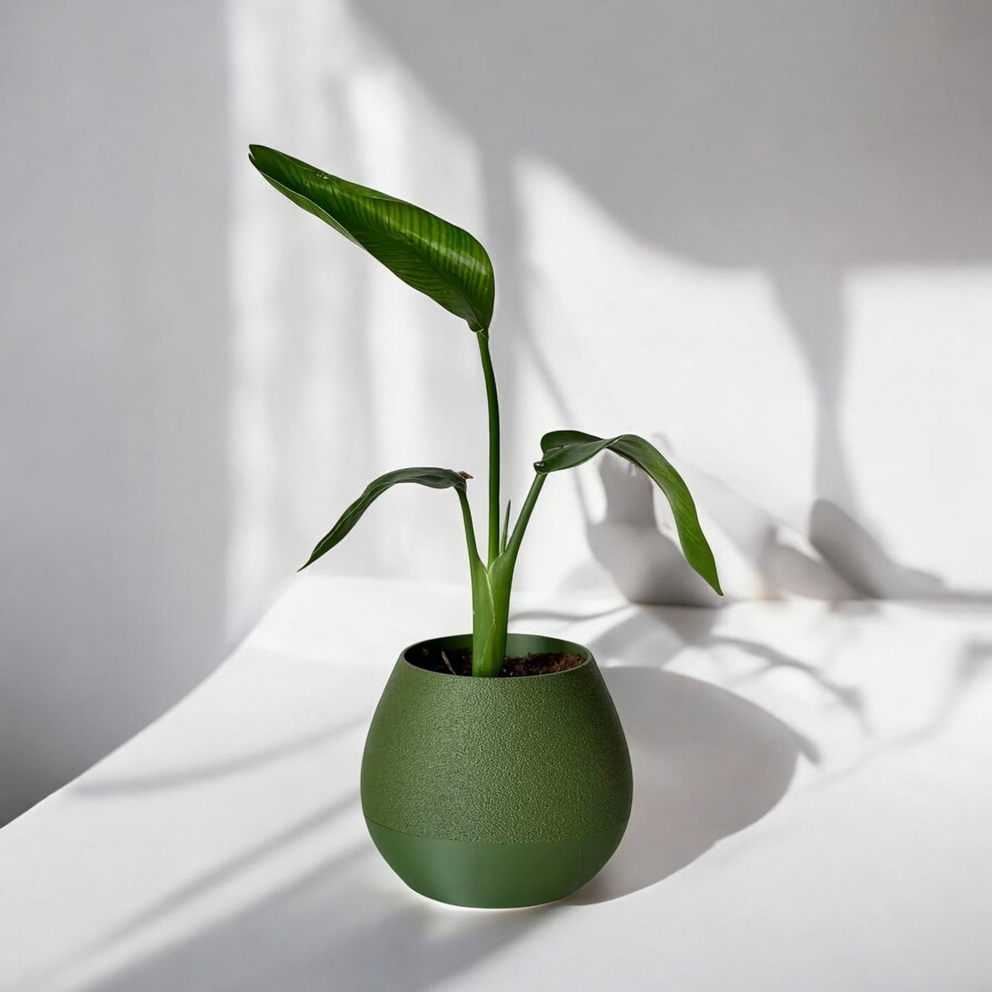 hydro pot advanced self-watering planter for effortless plant care and growth