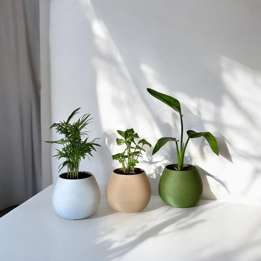 Hydro Pot Advanced Self-Watering Planter for Effortless Plant Care and Growth