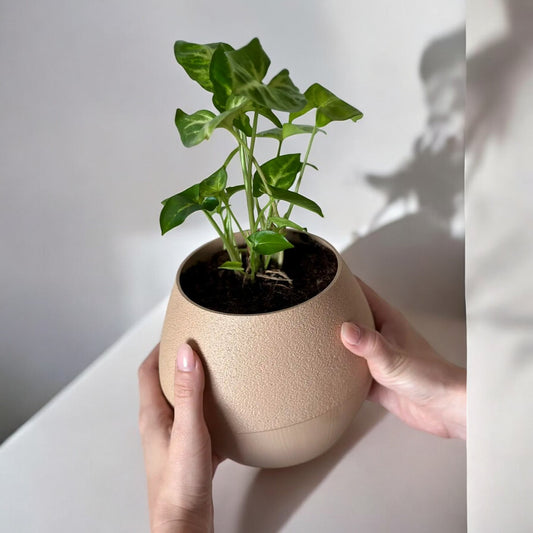 Hydro Pot Planter a self-watering planter with a tray and integrated ropes, designed to provide consistent hydration for plants that thrive with minimal care.
