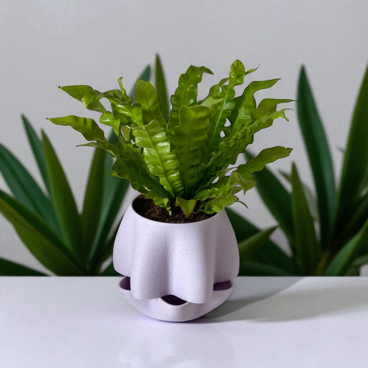 stability pot  durable planter with secure screw-on tray for effortless plant care