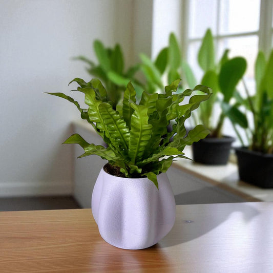 Stability Pot  Durable Planter with Secure Screw-On Tray for Effortless Plant Care